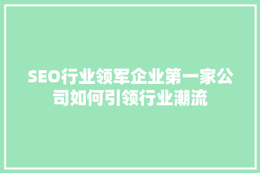 SEO行业领军企业第一家公司如何引领行业潮流
