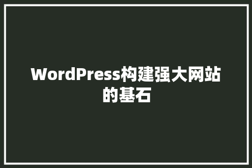 WordPress构建强大网站的基石