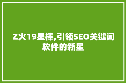 Z火19星棒,引领SEO关键词软件的新星 seo技术