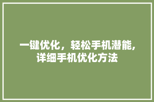 一键优化，轻松手机潜能,详细手机优化方法