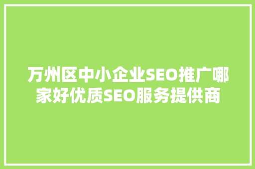 万州区中小企业SEO推广哪家好优质SEO服务提供商