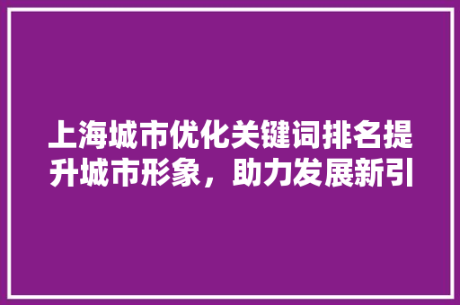 上海城市优化关键词排名提升城市形象，助力发展新引擎