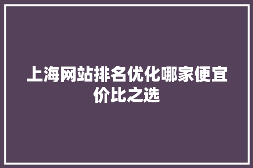 上海网站排名优化哪家便宜价比之选