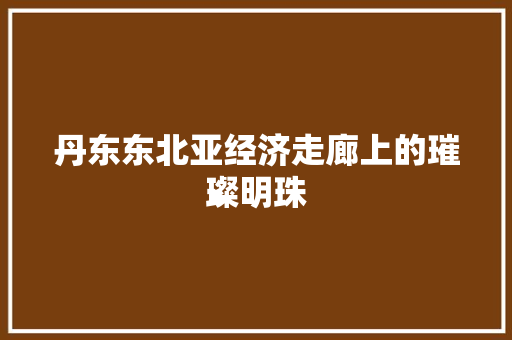 丹东东北亚经济走廊上的璀璨明珠
