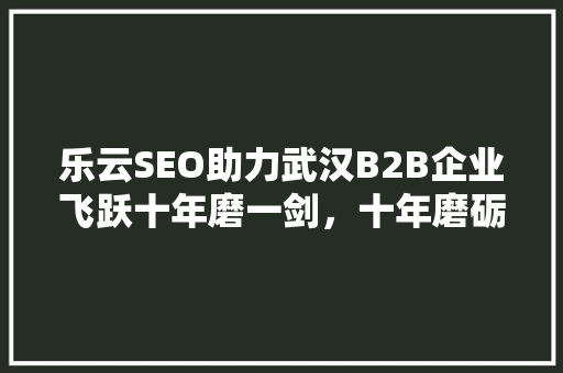 乐云SEO助力武汉B2B企业飞跃十年磨一剑，十年磨砺成就辉煌