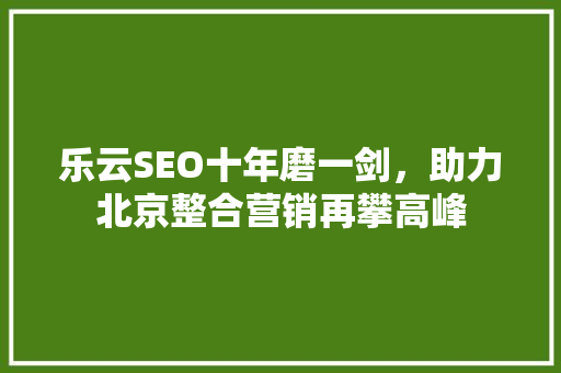 乐云SEO十年磨一剑，助力北京整合营销再攀高峰
