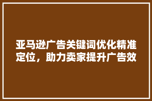 亚马逊广告关键词优化精准定位，助力卖家提升广告效果