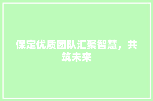 保定优质团队汇聚智慧，共筑未来