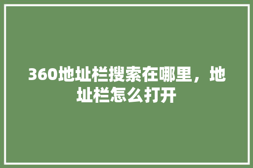 360地址栏搜索在哪里，地址栏怎么打开 360搜优化