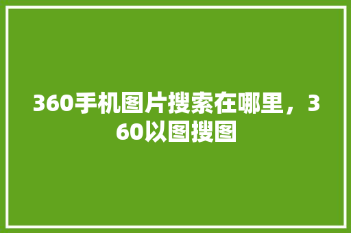 360手机图片搜索在哪里，360以图搜图
