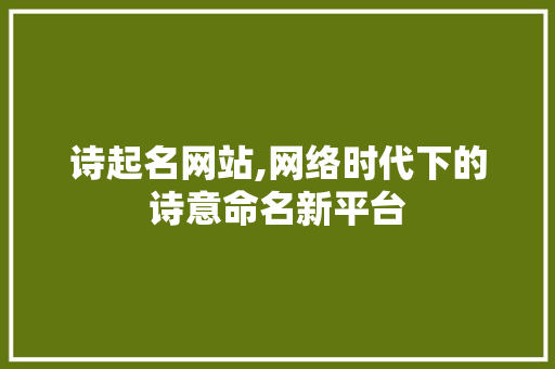 诗起名网站,网络时代下的诗意命名新平台