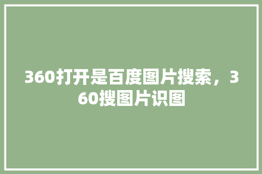 360打开是百度图片搜索，360搜图片识图 seo技术