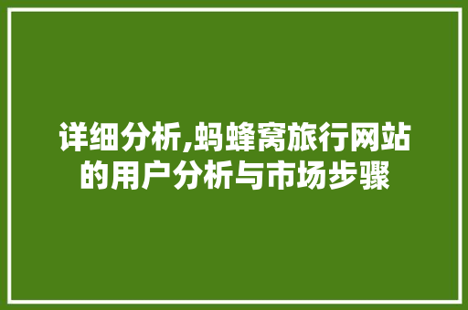 详细分析,蚂蜂窝旅行网站的用户分析与市场步骤