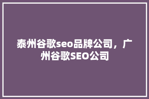 泰州谷歌seo品牌公司，广州谷歌SEO公司