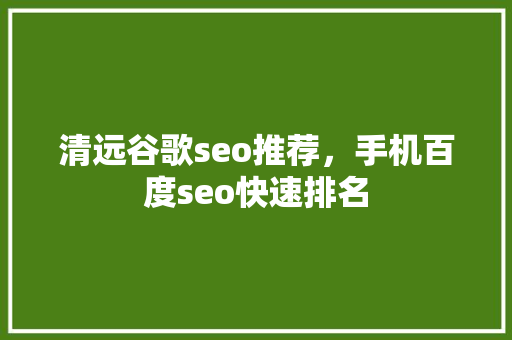 清远谷歌seo推荐，手机百度seo快速排名