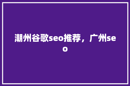 潮州谷歌seo推荐，广州seo