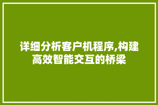 详细分析客户机程序,构建高效智能交互的桥梁