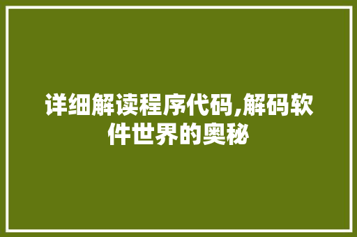 详细解读程序代码,解码软件世界的奥秘