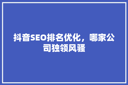 抖音SEO排名优化，哪家公司独领风骚