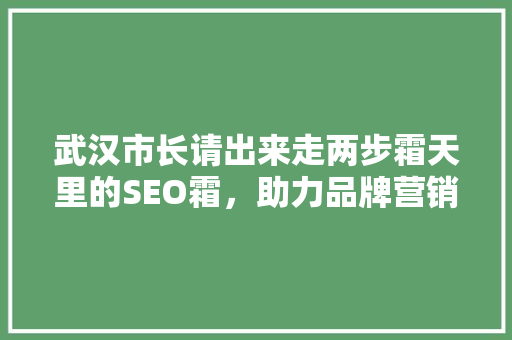 武汉市长请出来走两步霜天里的SEO霜，助力品牌营销新篇章