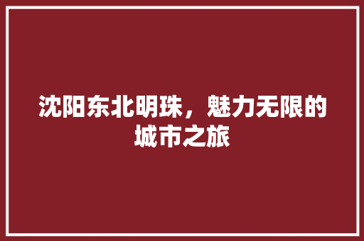 沈阳东北明珠，魅力无限的城市之旅 seo技术