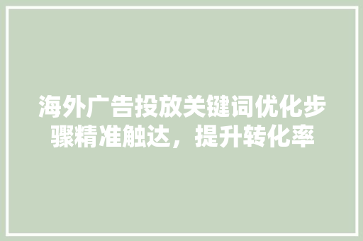 海外广告投放关键词优化步骤精准触达，提升转化率