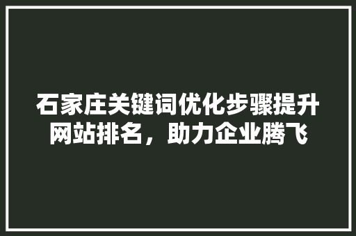石家庄关键词优化步骤提升网站排名，助力企业腾飞