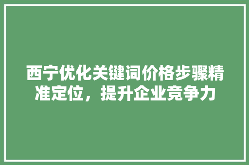 西宁优化关键词价格步骤精准定位，提升企业竞争力 360搜优化