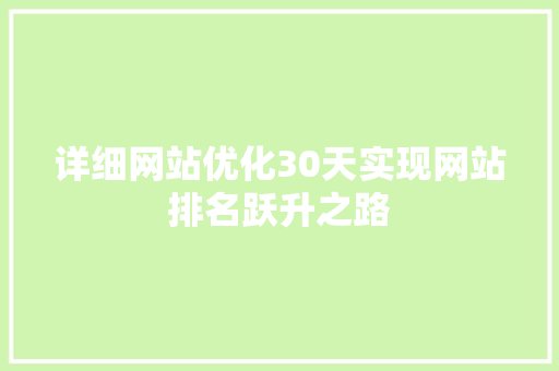 详细网站优化30天实现网站排名跃升之路
