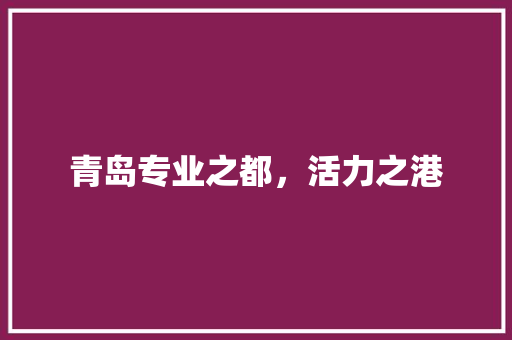 青岛专业之都，活力之港 360搜优化