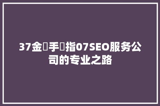 37金丷手丷指07SEO服务公司的专业之路