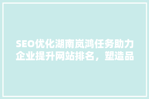 SEO优化湖南岚鸿任务助力企业提升网站排名，塑造品牌形象,SEO优化服务价格与价值