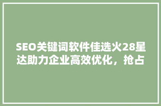 SEO关键词软件佳选火28星达助力企业高效优化，抢占搜索引擎排名制高点