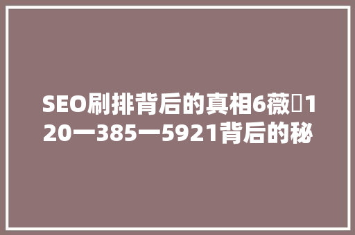 SEO刷排背后的真相6薇伈120一385一5921背后的秘密 百度算法