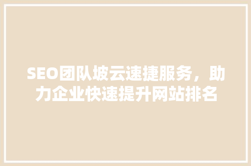 SEO团队坡云速捷服务，助力企业快速提升网站排名
