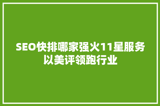 SEO快排哪家强火11星服务以美评领跑行业