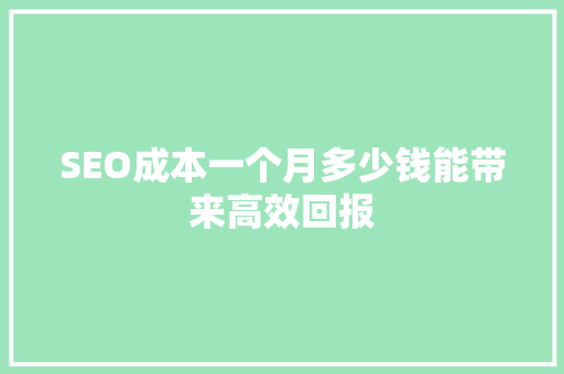 SEO成本一个月多少钱能带来高效回报
