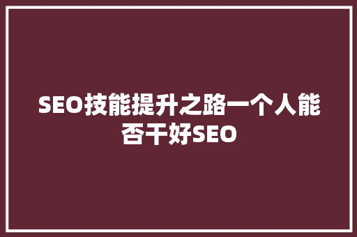 SEO技能提升之路一个人能否干好SEO