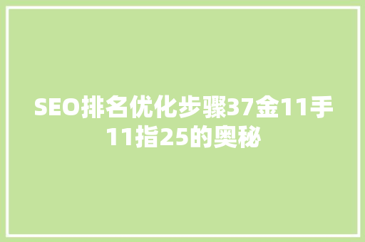 SEO排名优化步骤37金11手11指25的奥秘 360搜优化