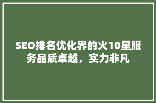 SEO排名优化界的火10星服务品质卓越，实力非凡