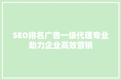 SEO排名广告一级代理专业助力企业高效营销