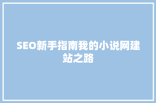 SEO新手指南我的小说网建站之路