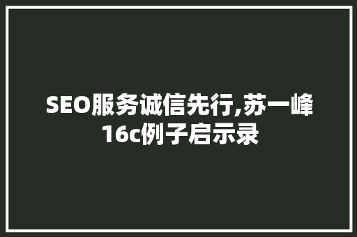 SEO服务诚信先行,苏一峰16c例子启示录