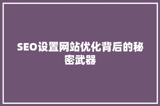 SEO设置网站优化背后的秘密武器