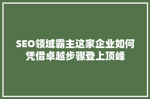 SEO领域霸主这家企业如何凭借卓越步骤登上顶峰