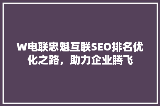W电联忠魁互联SEO排名优化之路，助力企业腾飞 头条优化