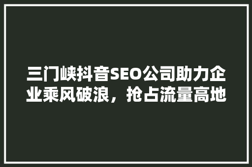 三门峡抖音SEO公司助力企业乘风破浪，抢占流量高地