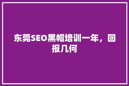 东莞SEO黑帽培训一年，回报几何
