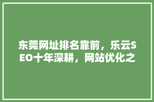 东莞网址排名靠前，乐云SEO十年深耕，网站优化之路 360搜优化