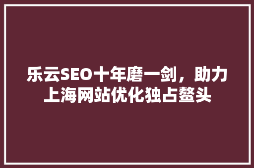 乐云SEO十年磨一剑，助力上海网站优化独占鳌头
